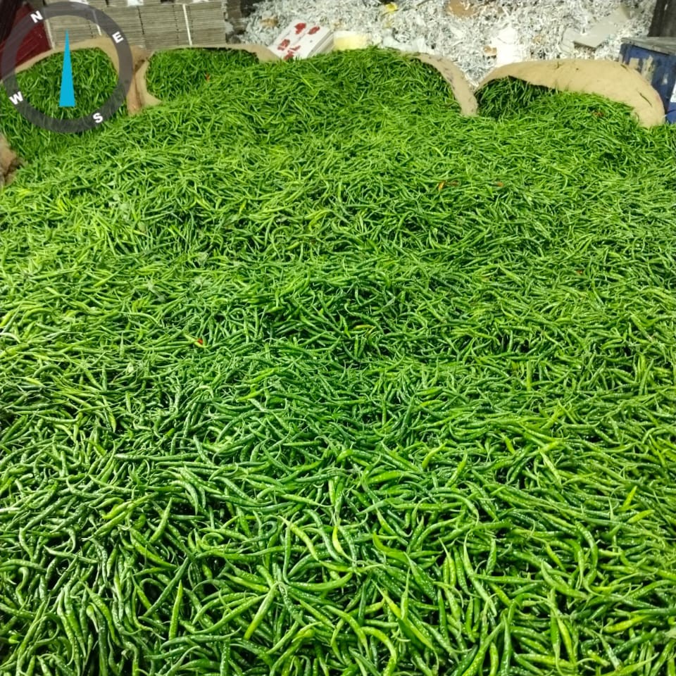 G4 Green Chilli