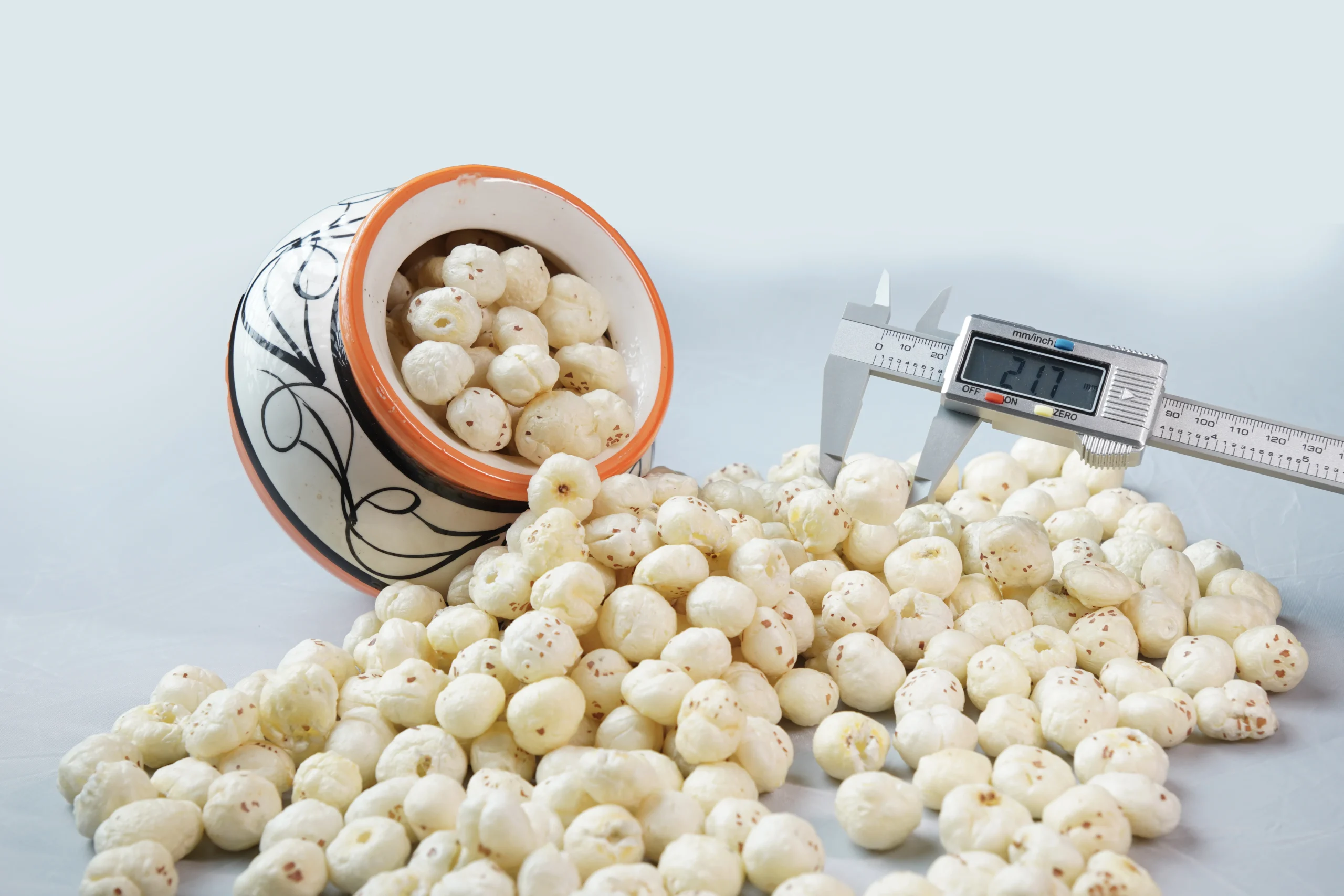 Raw Makhana 6+ Suta Top View