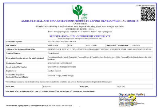 screenshot 2025 06 24 174343 (1)