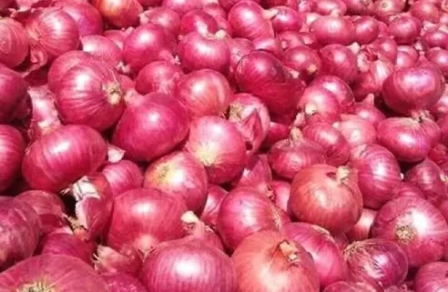 Nasik Onion Red