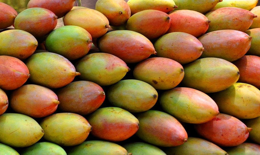 Mango Totapuri