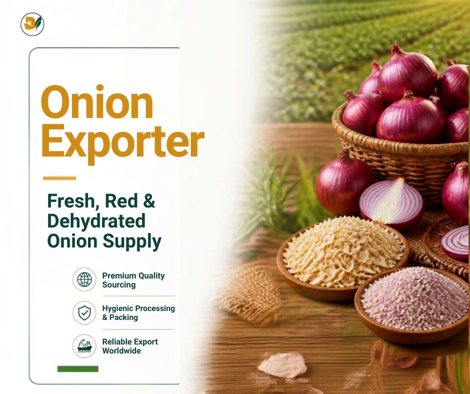 Onion exporter from India supplying fresh, red and dehydrated onion for bulk export